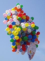 dap local elections campaign 010305 ballon