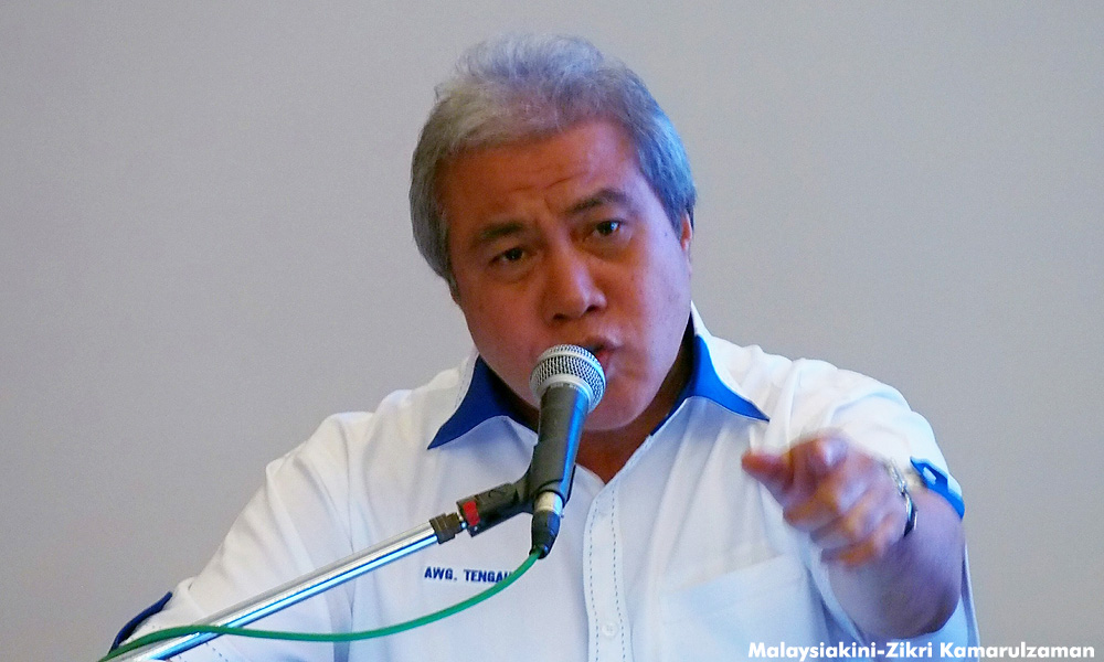 Sarawak's fight against illegal logging a success, says Awang Tengah