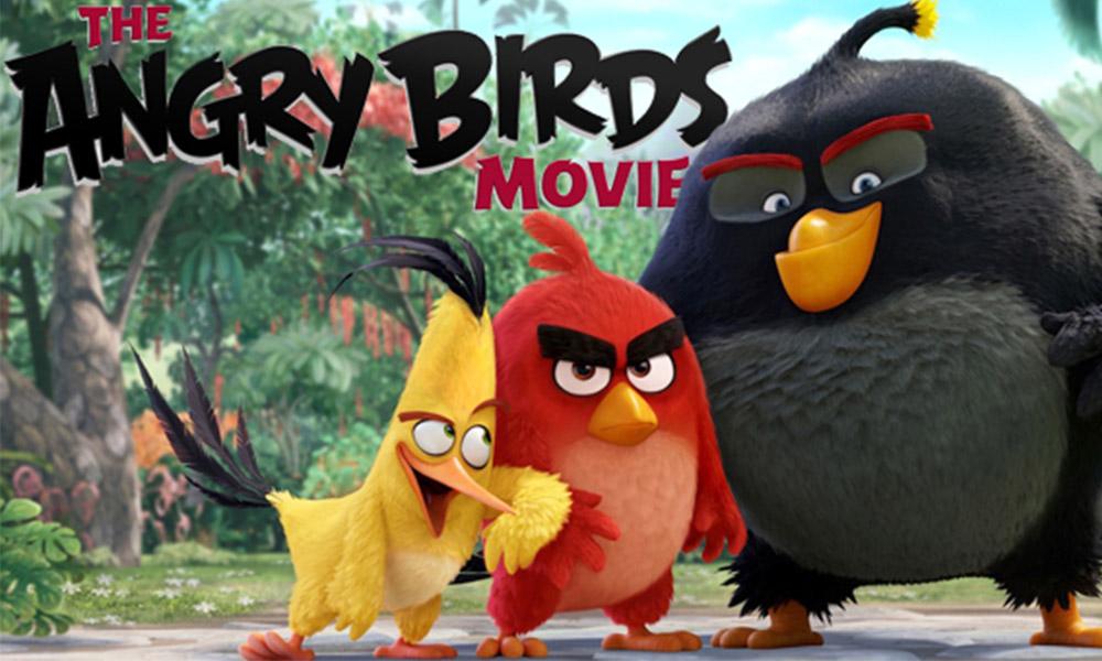 Burung marah-marah dan paranoid babi