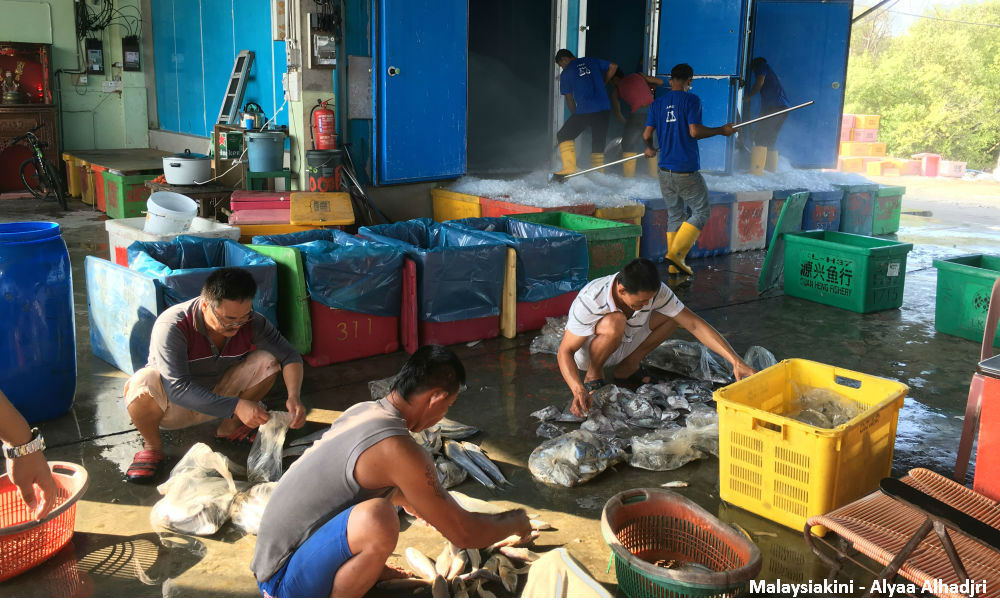 Sorting out the catch at Bagan Sungai Besar