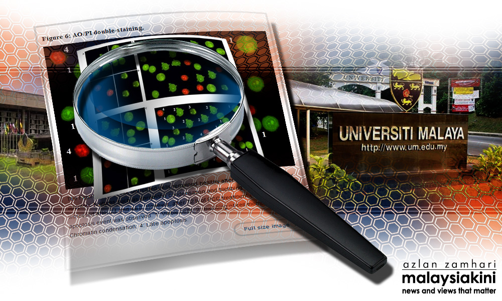Ministry, UM to probe research fraud allegations