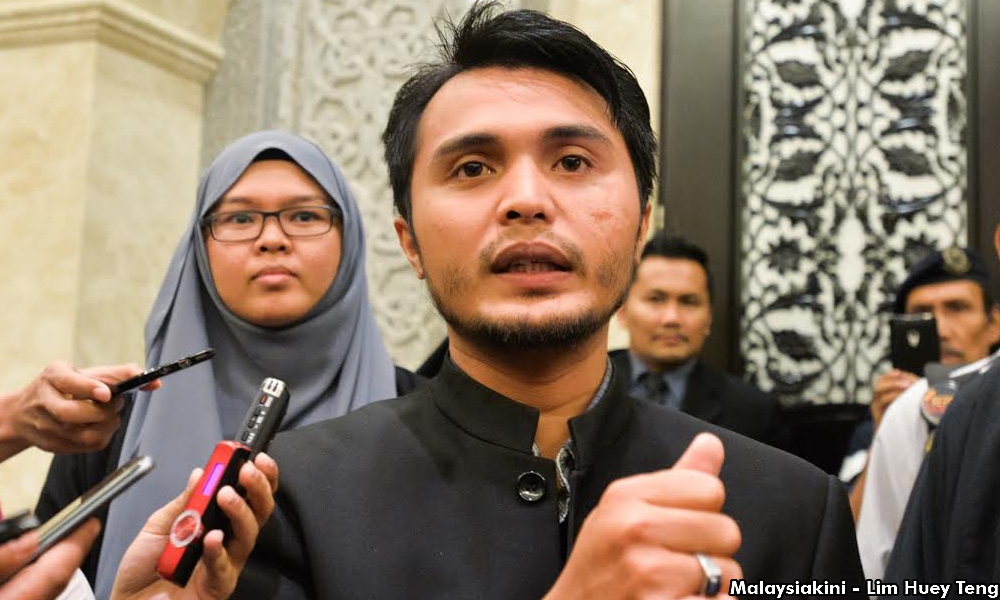 Appellate court adjourns to consider Safwan's sedition case
