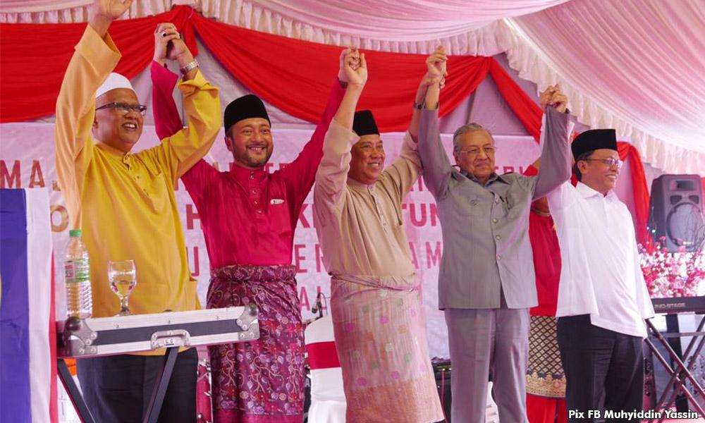 Pemimpin MCA tolak parti berasaskan kaum Dr M