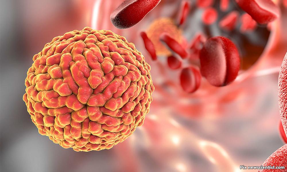 Ministry to meet fatwa council on Zika consensus