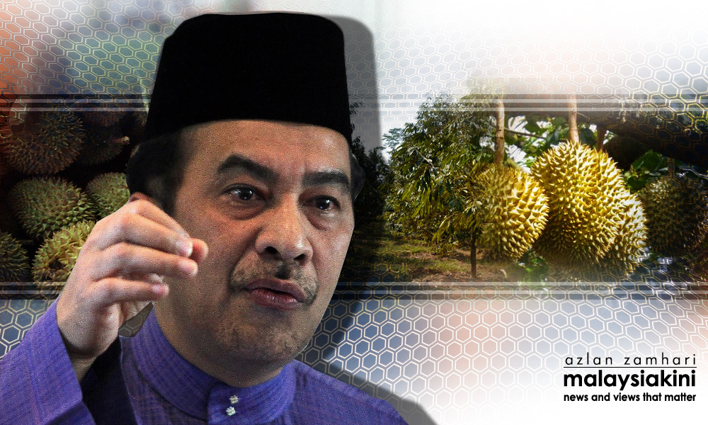 Projek durian kunyit serangan 'berduri' baru Husam