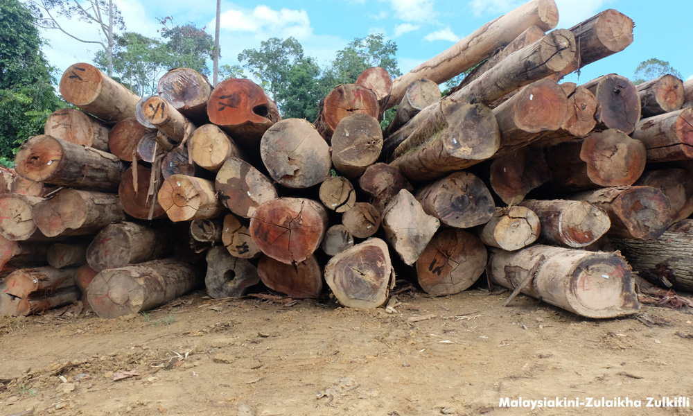 PSM cadang moratorium kekal perlombongan, pembalakan di hutan Malaysia