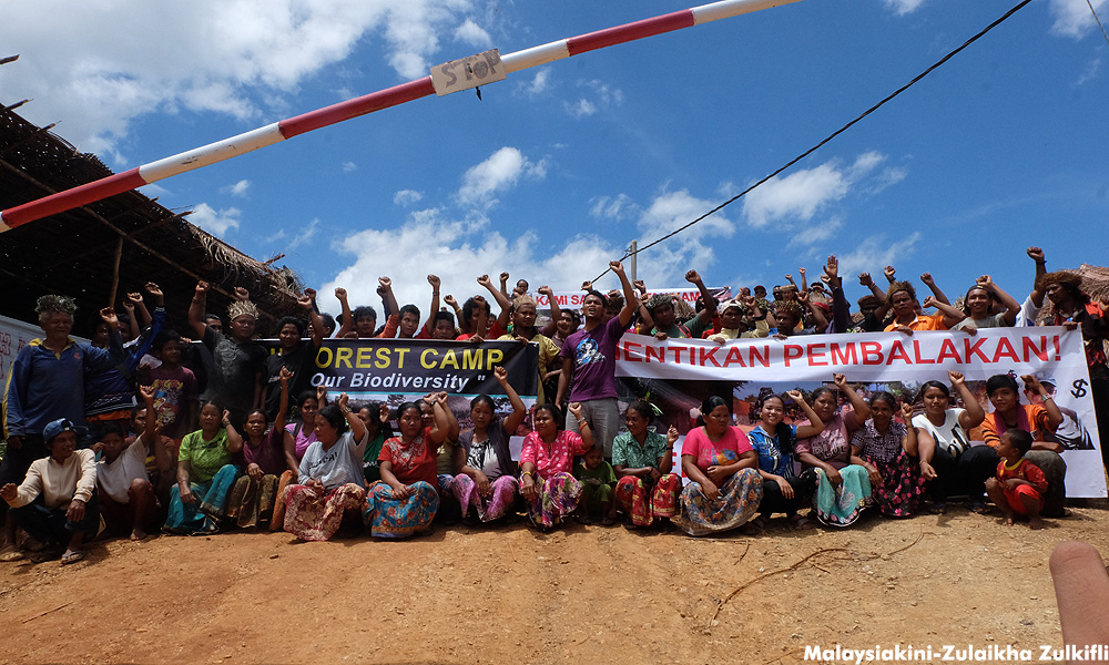 'Forestry's entry ban choking Gua Musang Orang Asli'