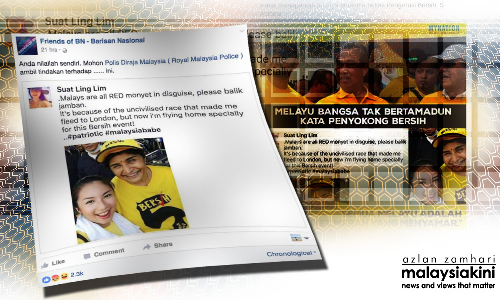 Bersih protester abused online after fake 'Malay monkey' posting