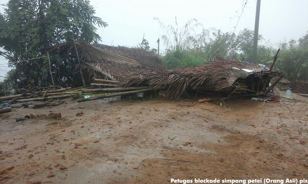 JAKOA tak pernah beri persetujuan Orang Asli halang pembalakan