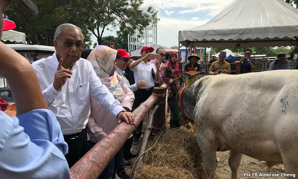 ‘Adenan luar biasa, pernah berdepan tauke balak’