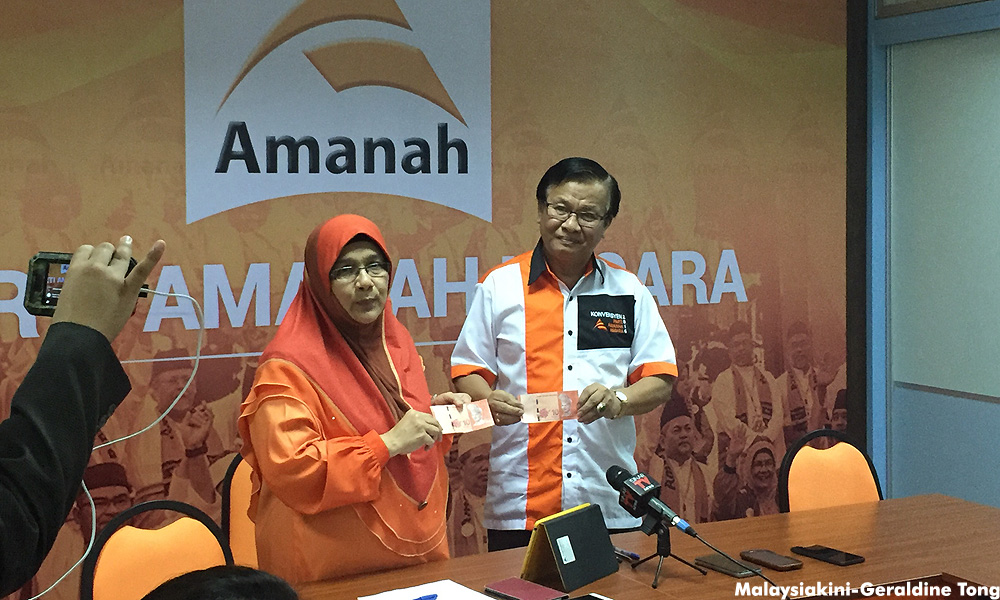 Amanah agrees with Dr M on not naming PM candidate now