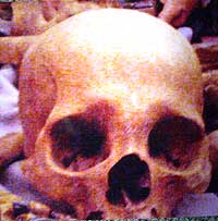 kelesau naan murdered penan head 040108 skull