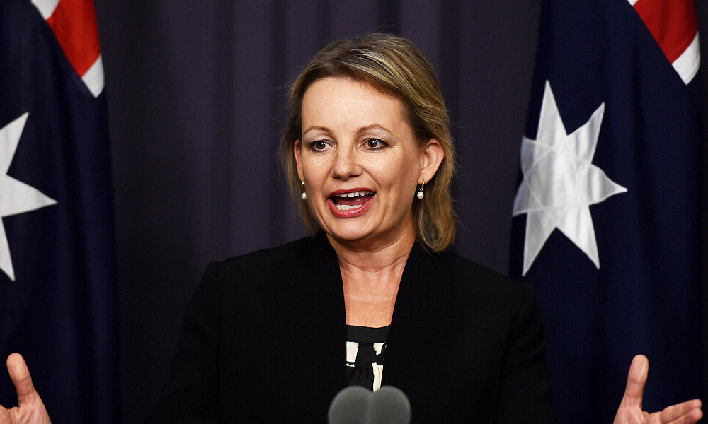 Australian minister steps aside due to travel claims bungle