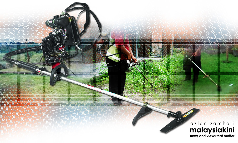 Farmer goes berserk, attacks cops with grasscutter