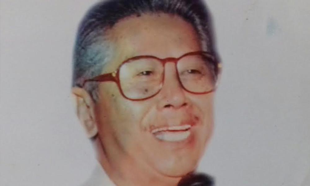 Sesetia Melayu dalam DAP pra 2008