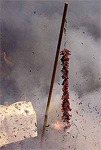 chinese new year 310108 firecracker