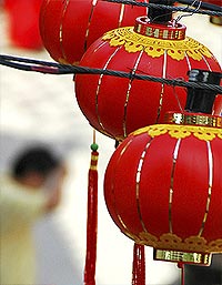 chinese new year 310108 lantern