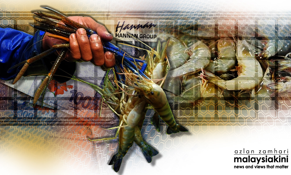 Company denies double-billing gov't RM55m for prawn farms