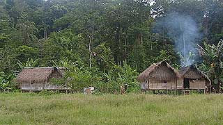 kampung orang asli sungai tesong 120208 houses