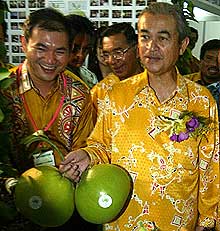 kenny pomelo price story 060208 pak lah