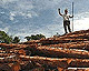 penan sarawak orang asli anti logging protest big thumbnail