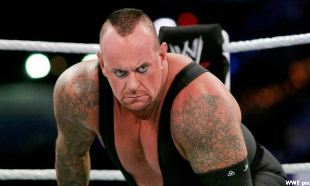 Undertaker bersara, WrestleMania 33 saksi cinta Cena