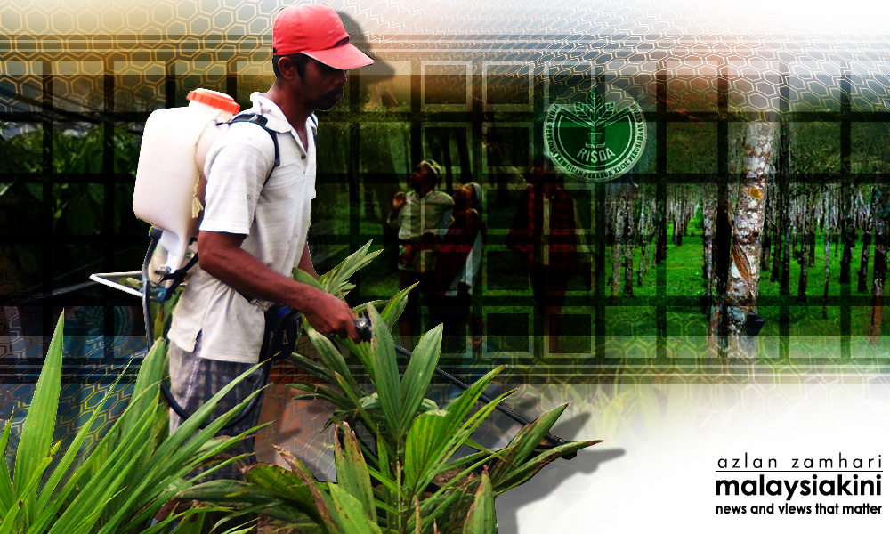 Gov’t gives RM14m to three Sabah constituencies for Risda planters