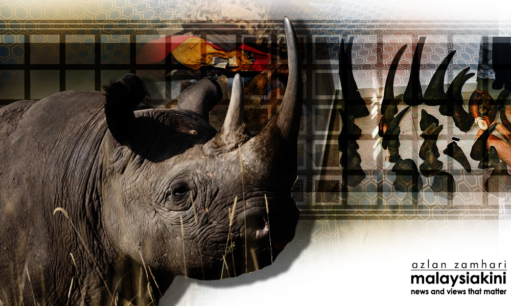 RM13.7m worth of rhino horns seized at KLIA