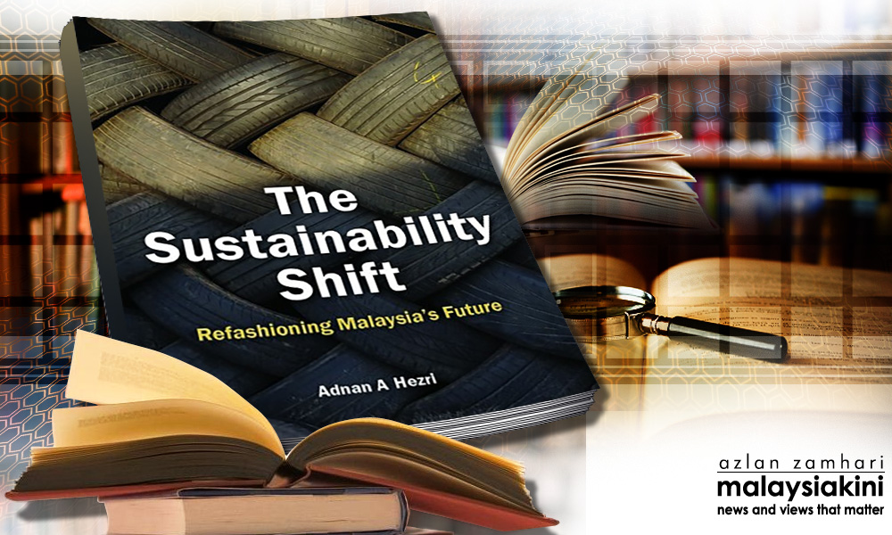 A good insight into the dynamics affecting sustainability
