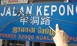 tan seng giaw kepong parliament interview 200208 dap road