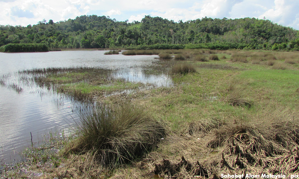 Disclose sources of pollution of rivers and lakes in Pahang