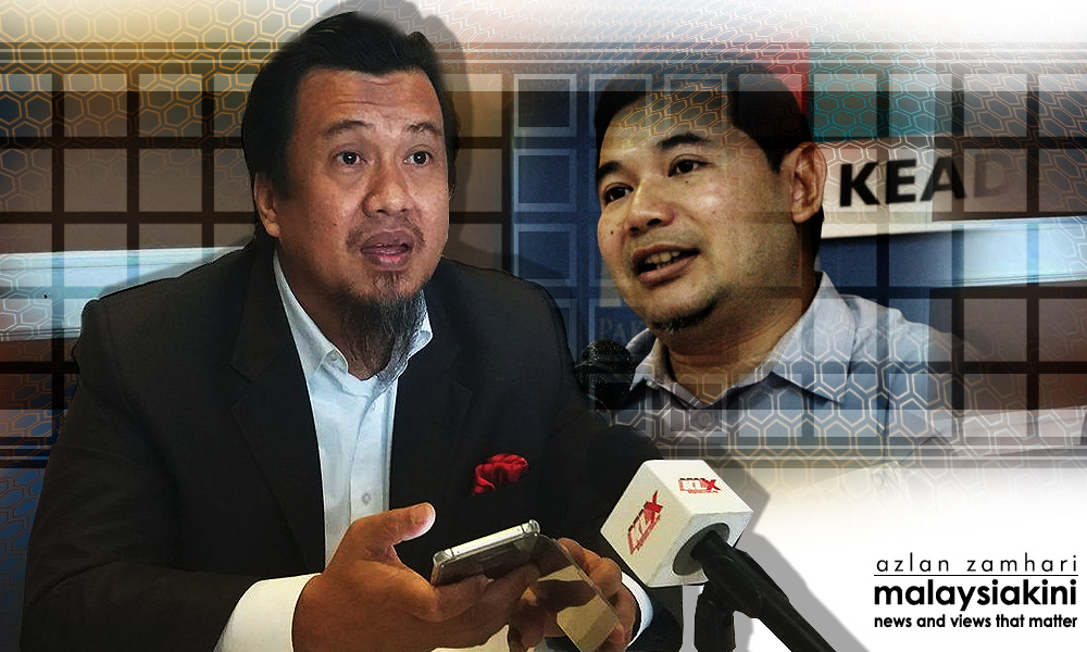 Rafizi's apology 'unacceptable', sue him, NGO tells Florence Goh