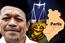 shahidan kassim and perlis and bn and umno