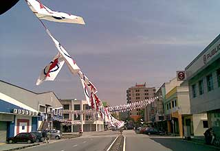 ipoh dap flags 230208