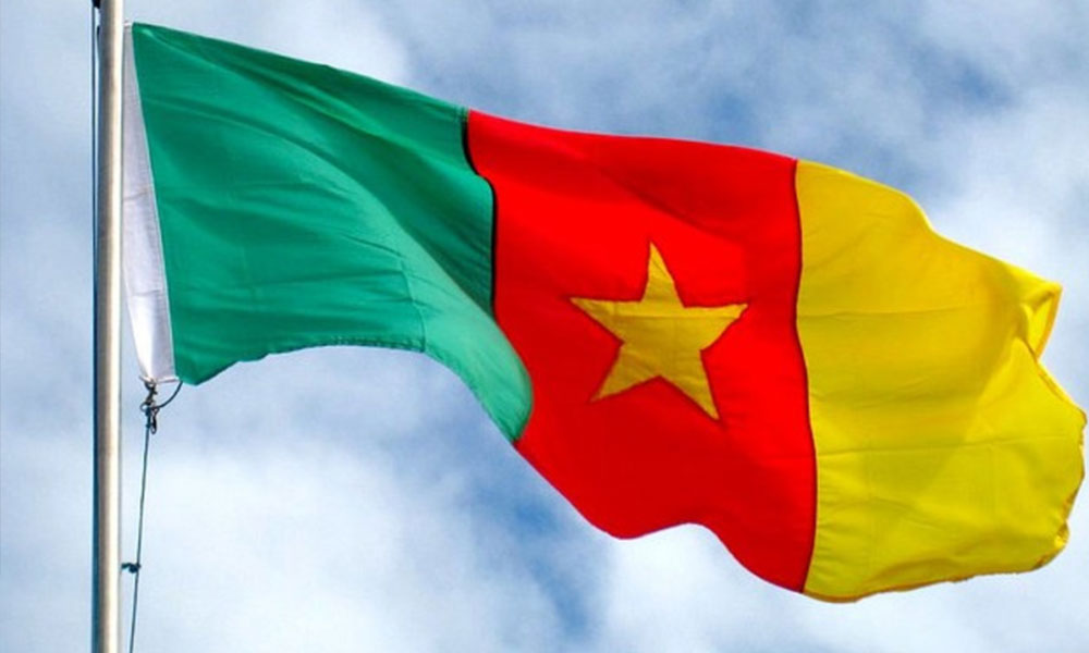 Bayi antara 12 terbunuh serangan pengebom di Cameroon