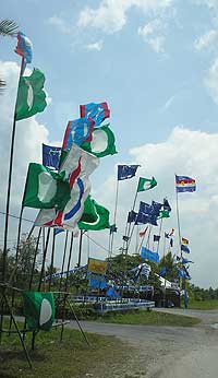 perlis kedah campaign 030308 flags