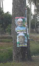 perlis kedah campaign 030308 tree stump