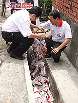 dap penang poster drain 290208 liew chin tong 2