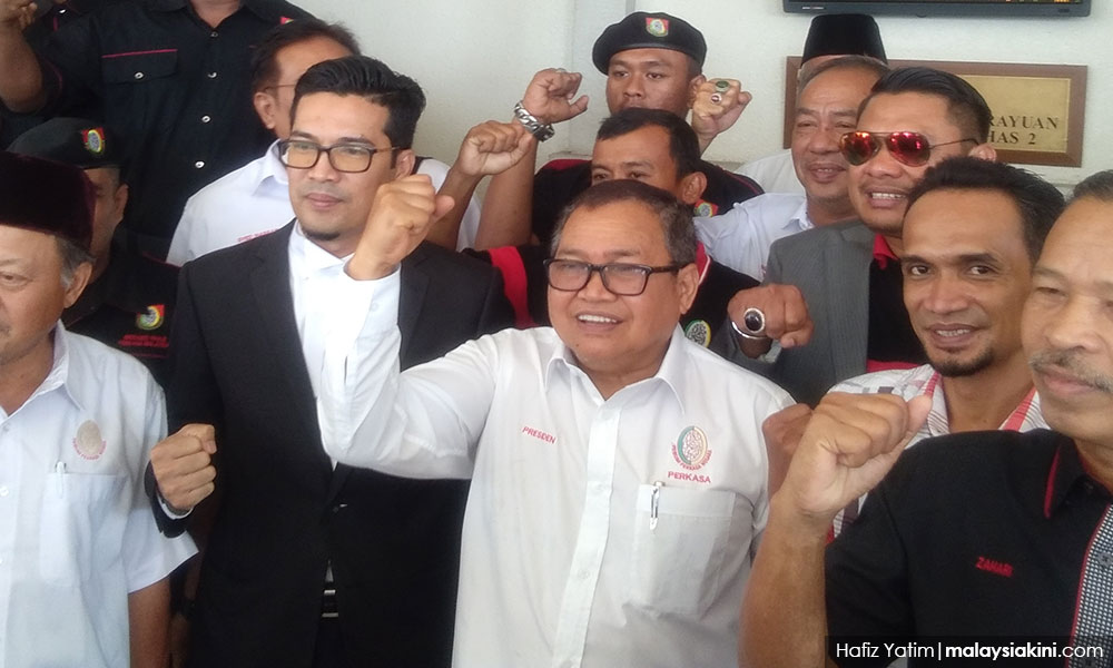 Ibrahim Ali sedih hanya PERKASA bela Zakir Naik