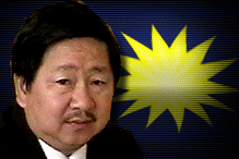 donald lim and mca