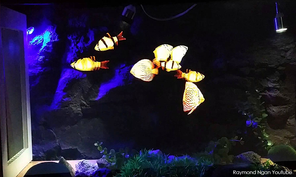 Akuarium hologram perhiasan mewah berteknologi terkini