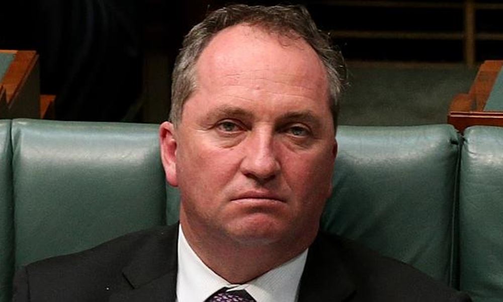 Australia's DPM disqualified due to dual citizenship, gov’t loses majority