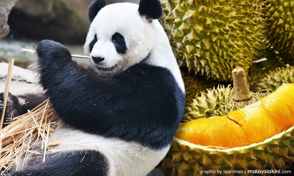 From panda to durian diplomacy