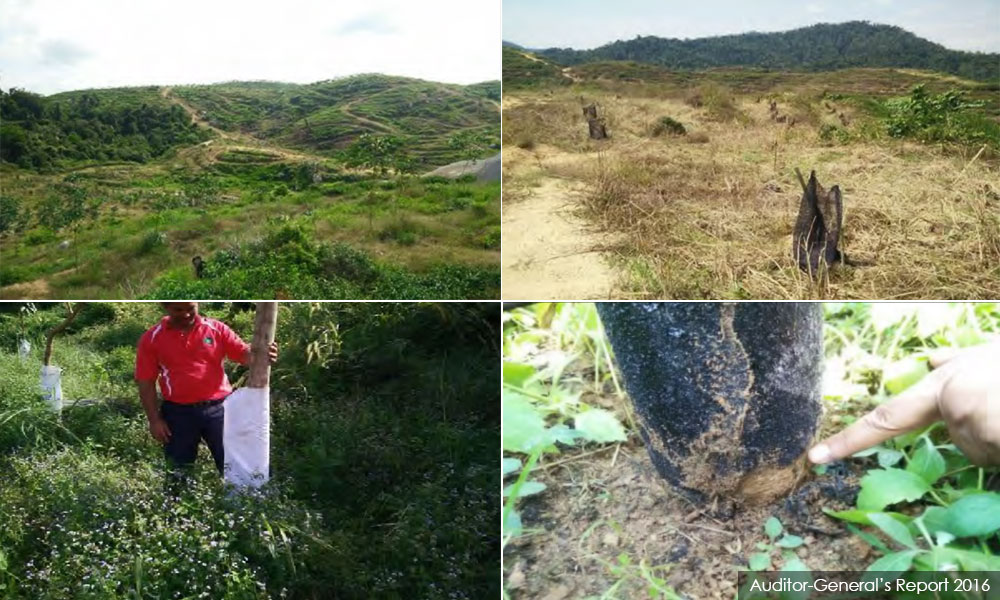 Cost of 'Ladang Sejahtera' projects hiked by more than 100pct
