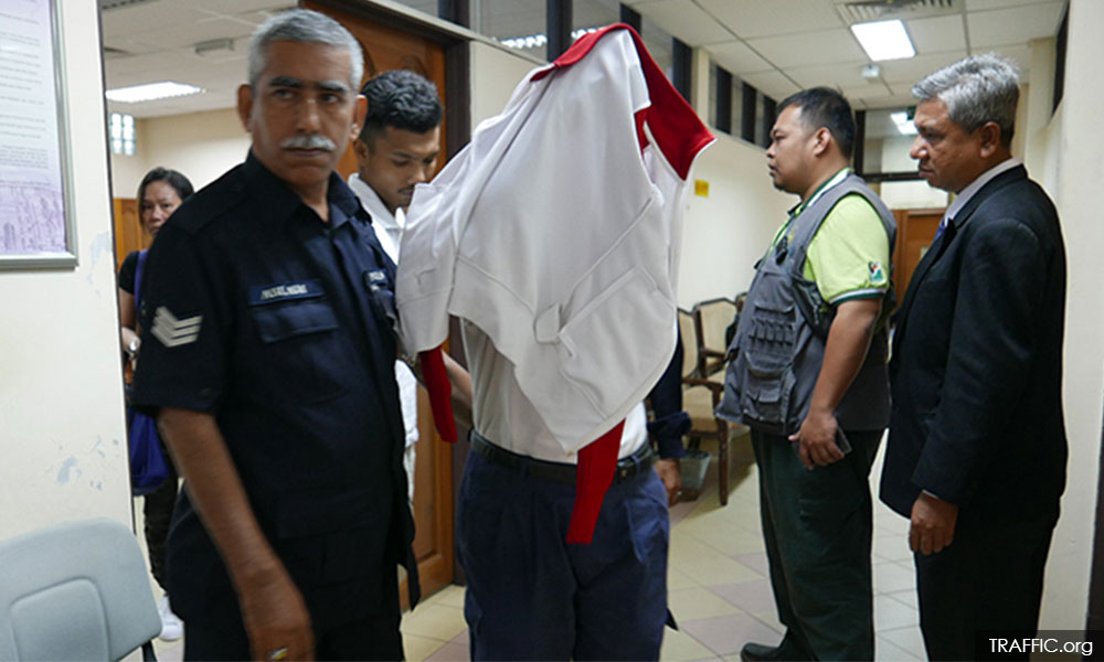 Deep disappointment over sentence for illegal possession of tiger