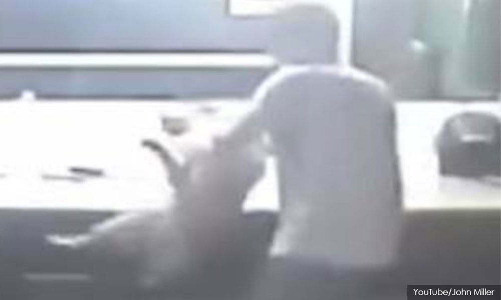 S'porean fined RM8,000 for whacking dog with crash helmet