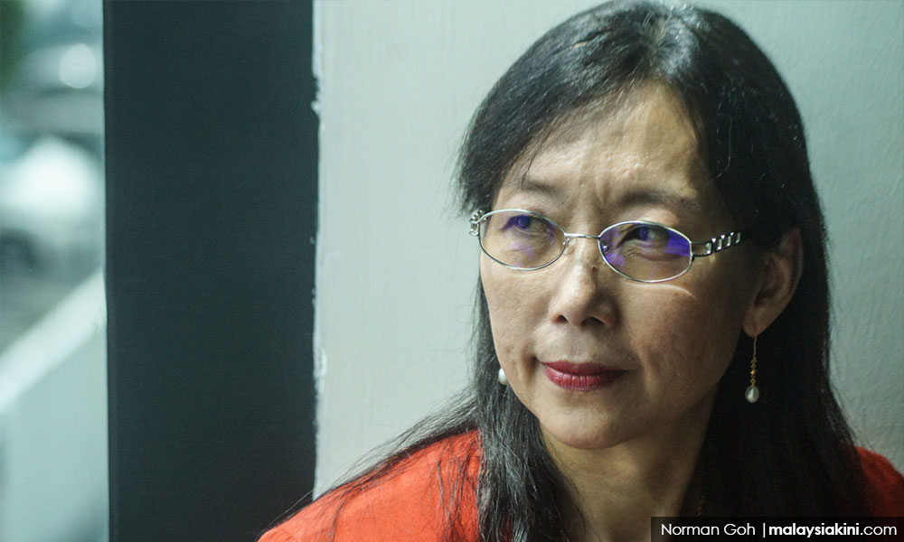 Let’s limit area allocated to oil palm plantations, says Kok