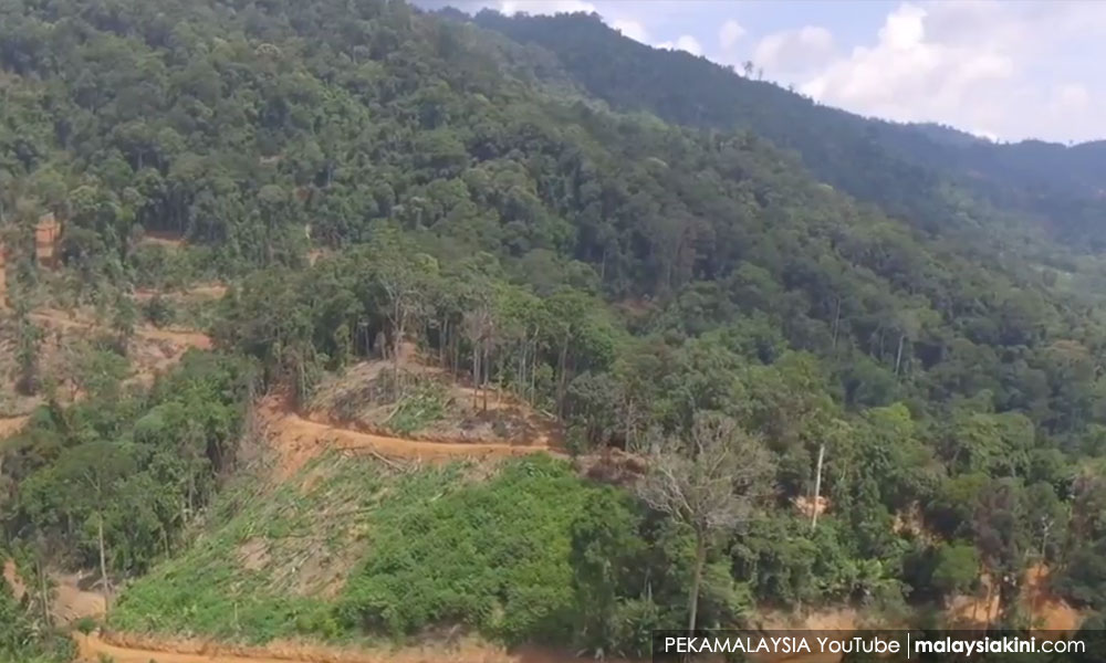 Sanusi: P Pinang jangan campur urusan Kedah di Hutan Simpan Ulu Muda