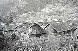 chinese new village 220408 01