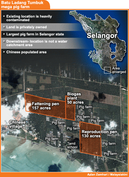 kuala langat batu ladang tumbuk selangor mega pig farm project 160408